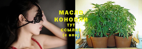 стаф Володарск