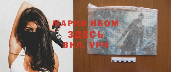 стаф Володарск