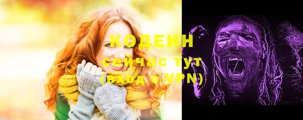 стаф Володарск